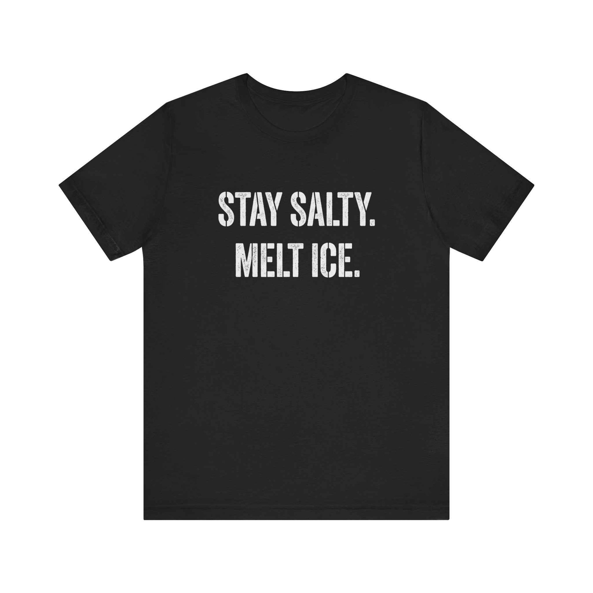 Stay Salty Melt Ice T-Shirts, Funny Sarcastic Quote Tee, Edgy Attitude Graphic Shirt, Humorous Statement T-Shirts, Unique Text Design