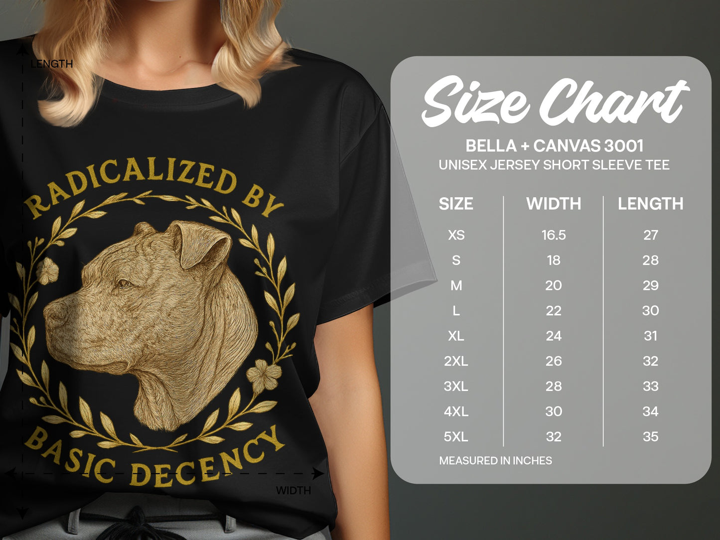 Radicalized By Basic Decency Graphic Tee product type