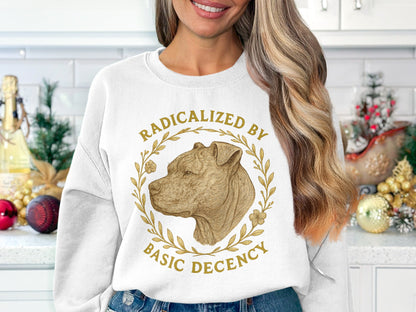 Radicalized by Basic Decency Graphic Sweatshirt product type