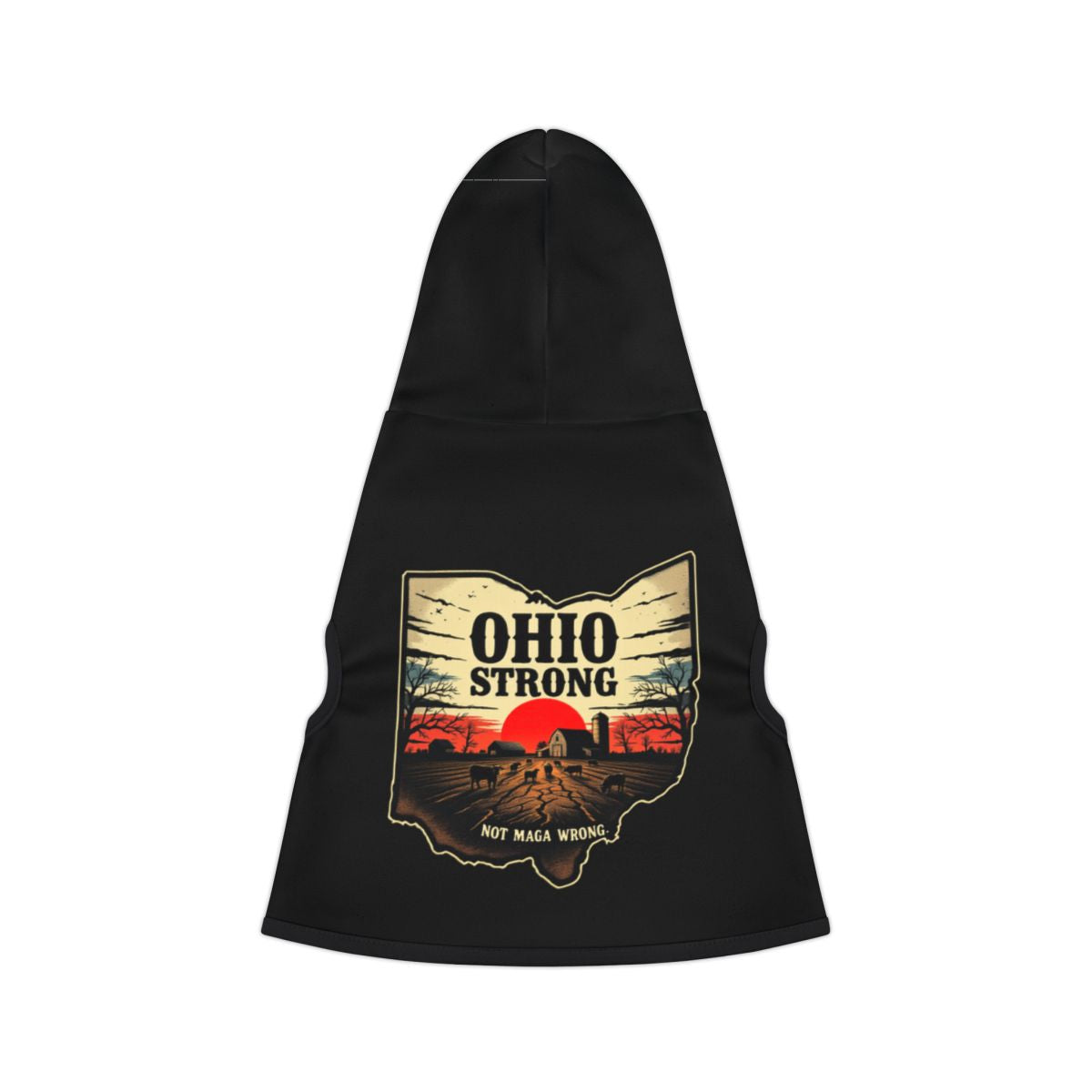 Ohio Strong Not Maga Wrong Graphic Hooded Apparel