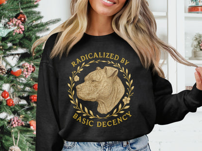 Radicalized By Basic Decency Sweatshirt product type