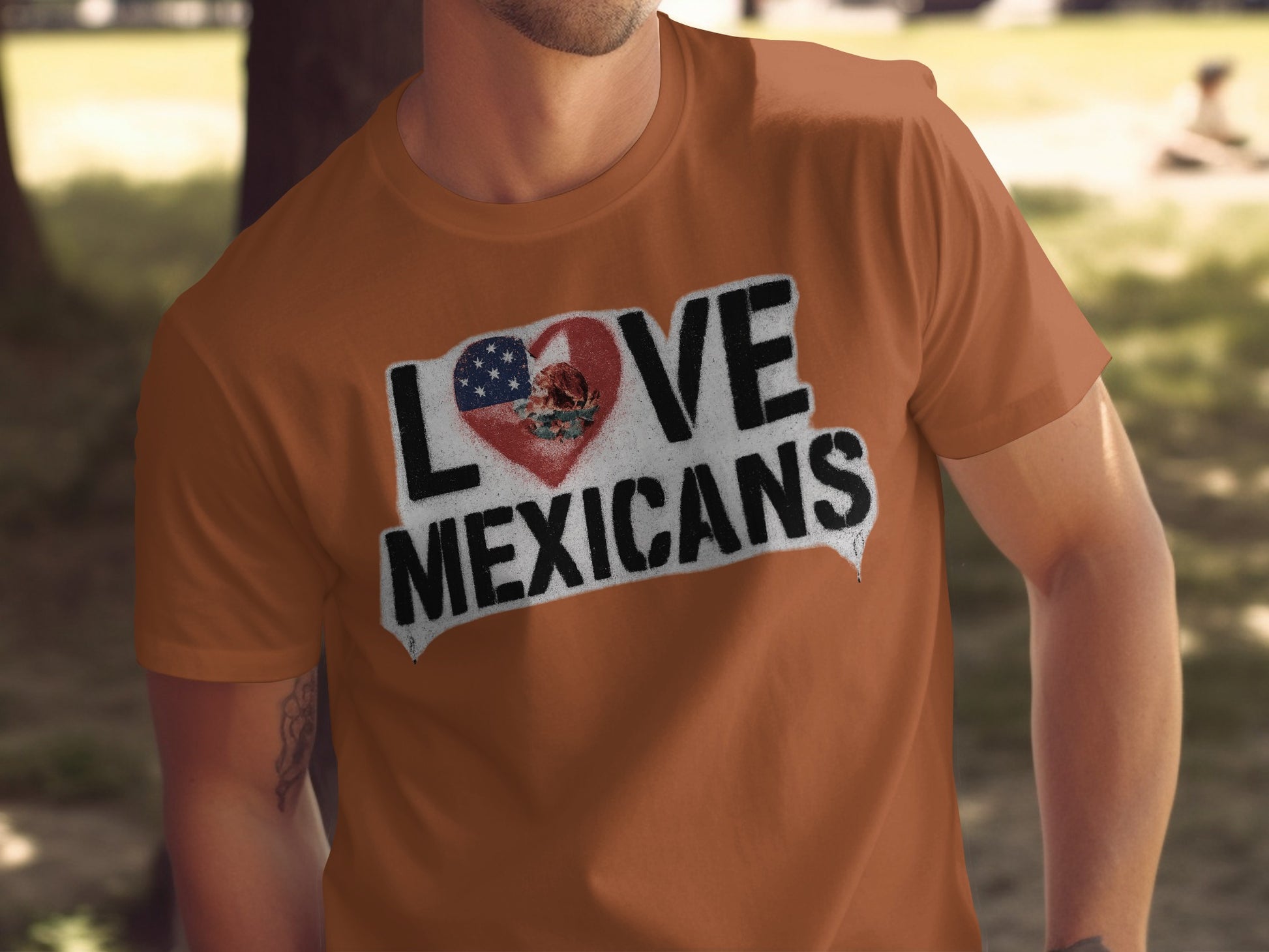 Love Mexicans Heart and Flag Graphic T-Shirt Product