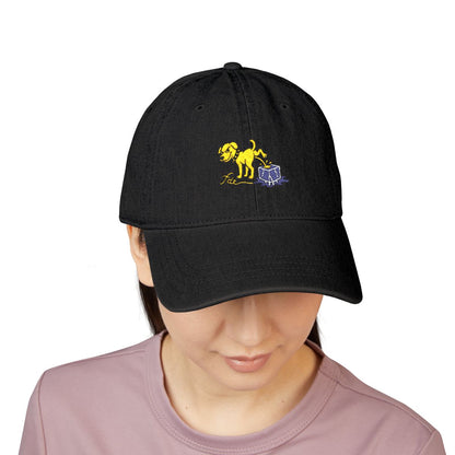 FDT Subtle Embroidery Hat Resist & Protest Funny Hat