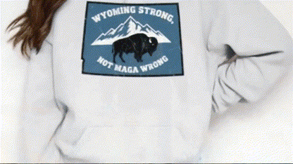 A person wearing a white sweatshirt with a graphic design featuring a black buffalo on a blue background.