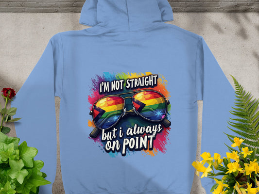 I'm Not Straight But I Always on Point Hoodie product