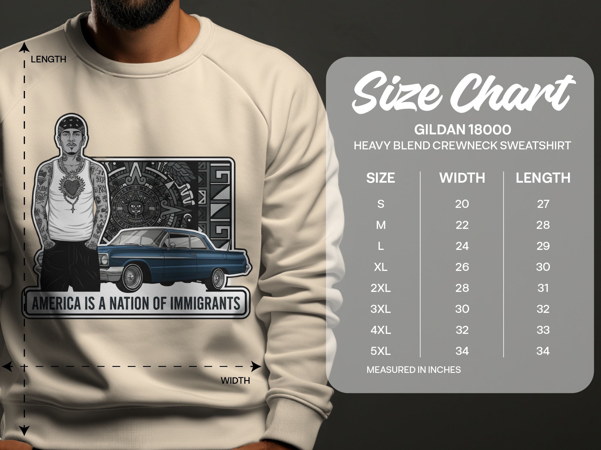 America Is a Nation of Immigrants Graphic Sweatshirt