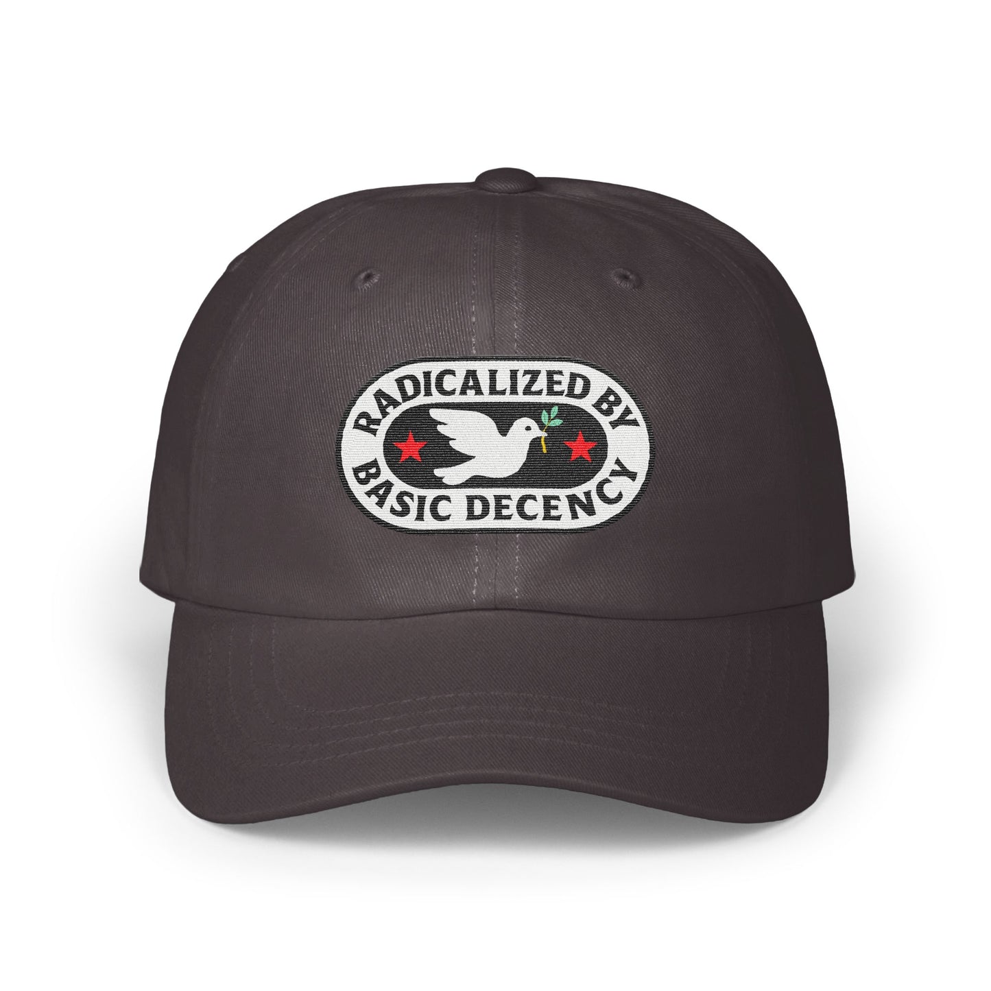 Radicalized By Basic Decency Embroidered Hat product