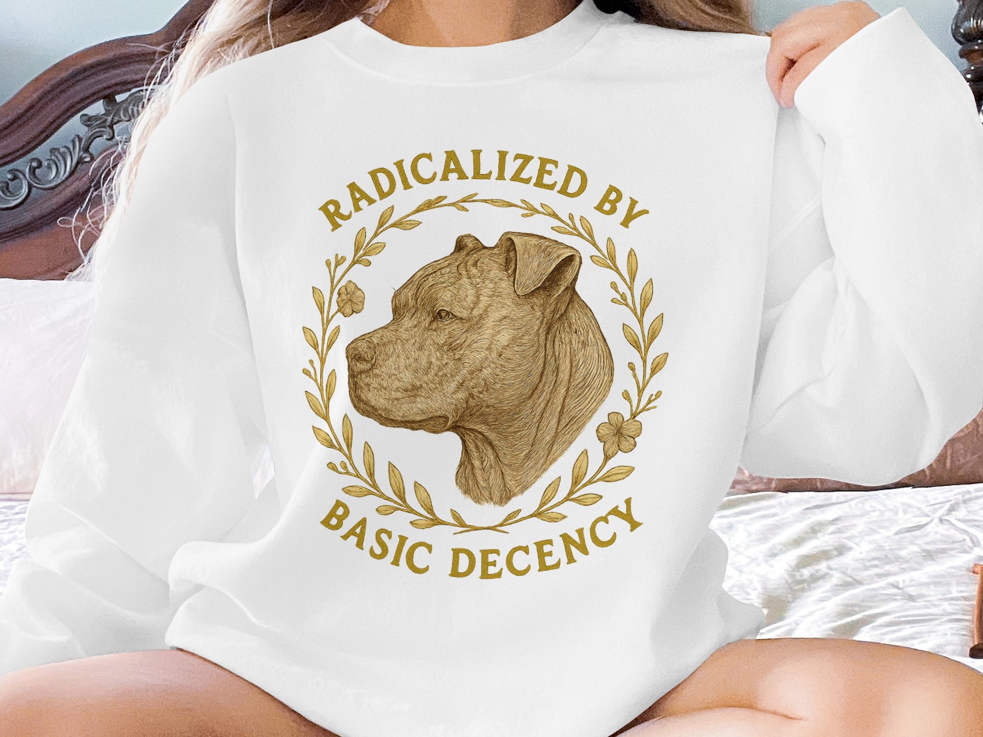 Radicalized By Basic Decency Sweatshirt product type
