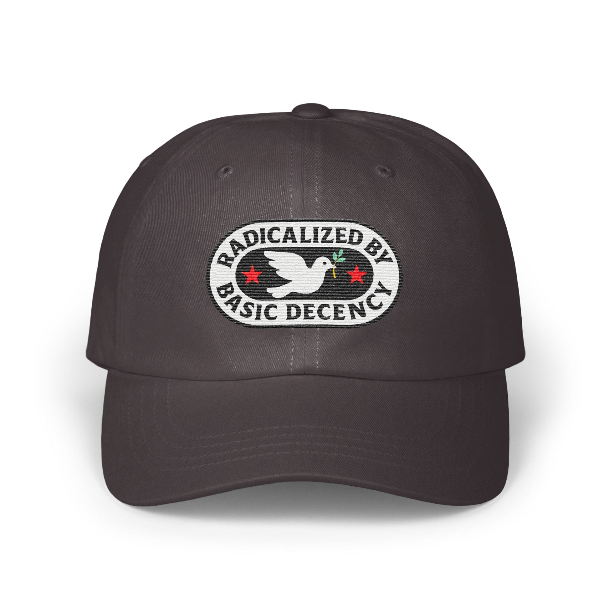 Radicalized By Basic Decency Embroidered Hat product