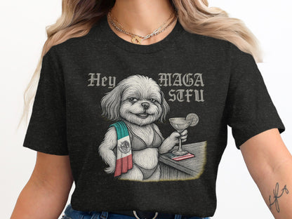 Hey MAGA AFU Graphic Printed T-shirt product type