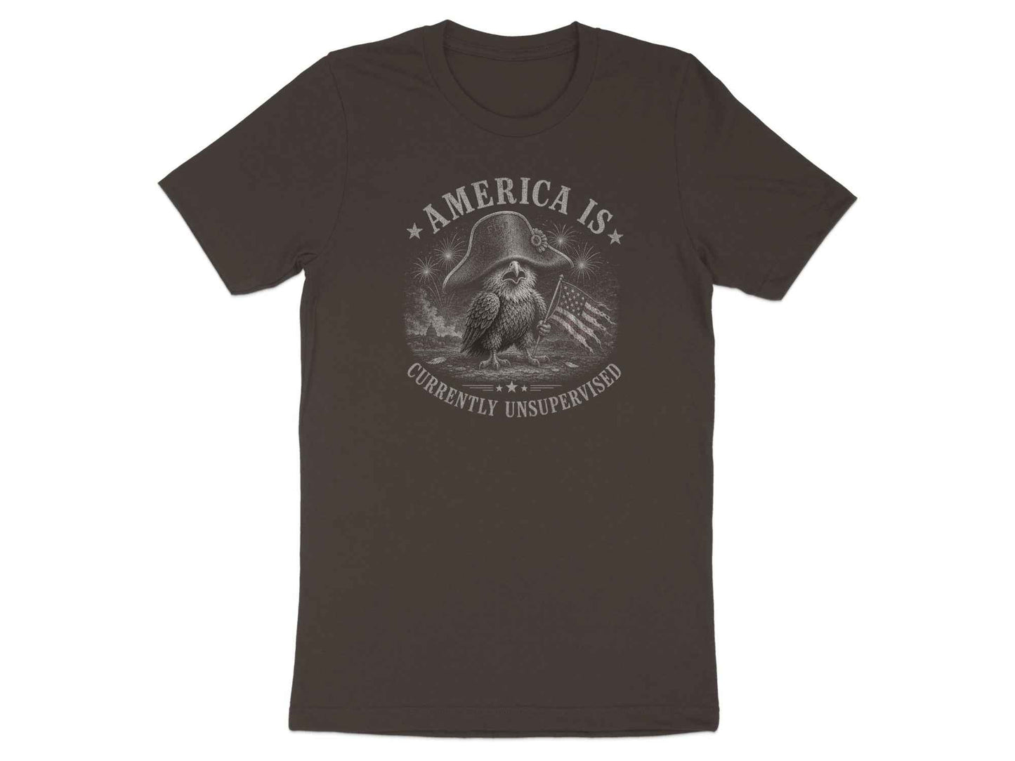 Unsupervised Nation Eagle Graphic T-Shirt