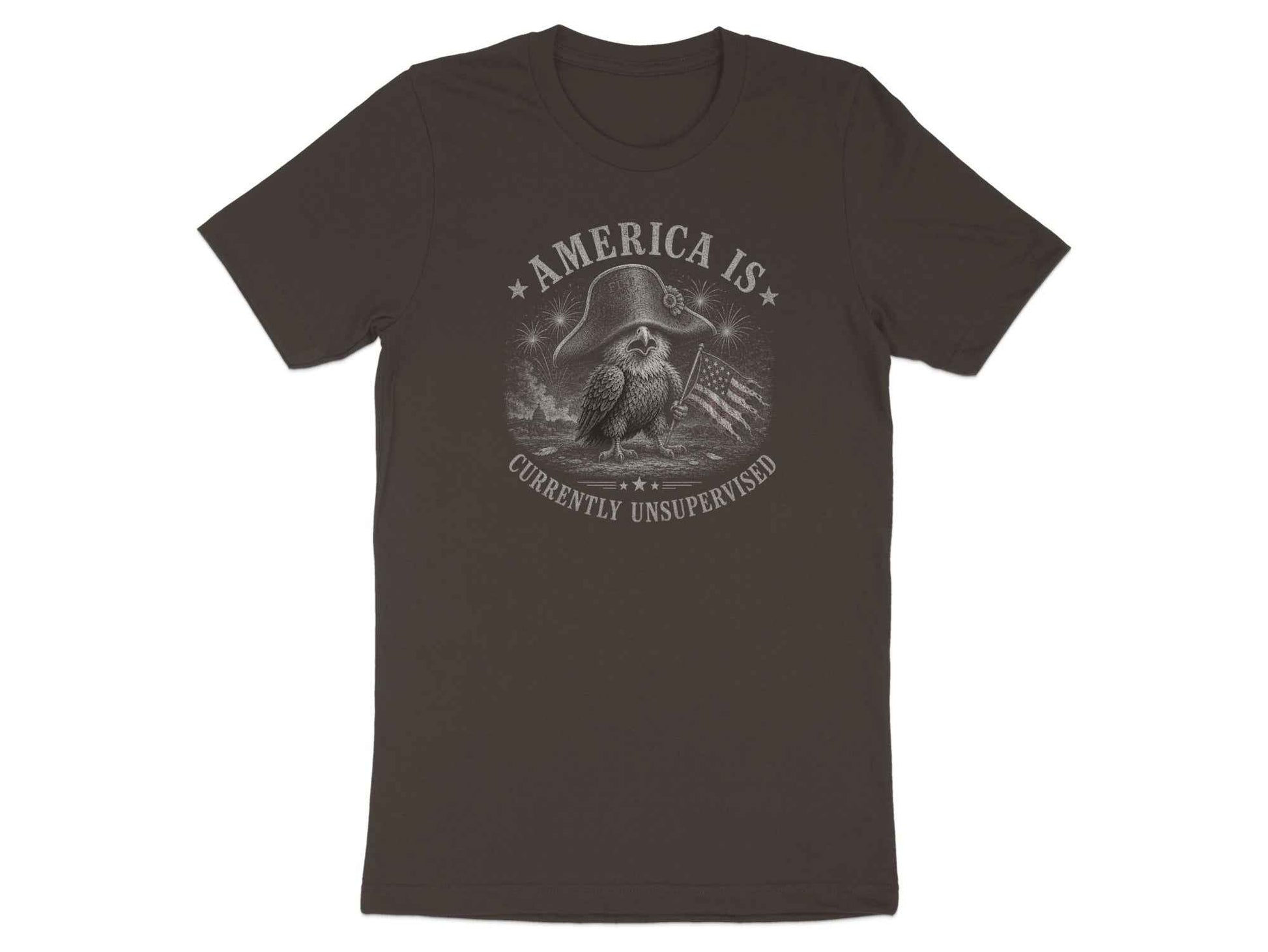 Unsupervised Nation Eagle Graphic T-Shirt