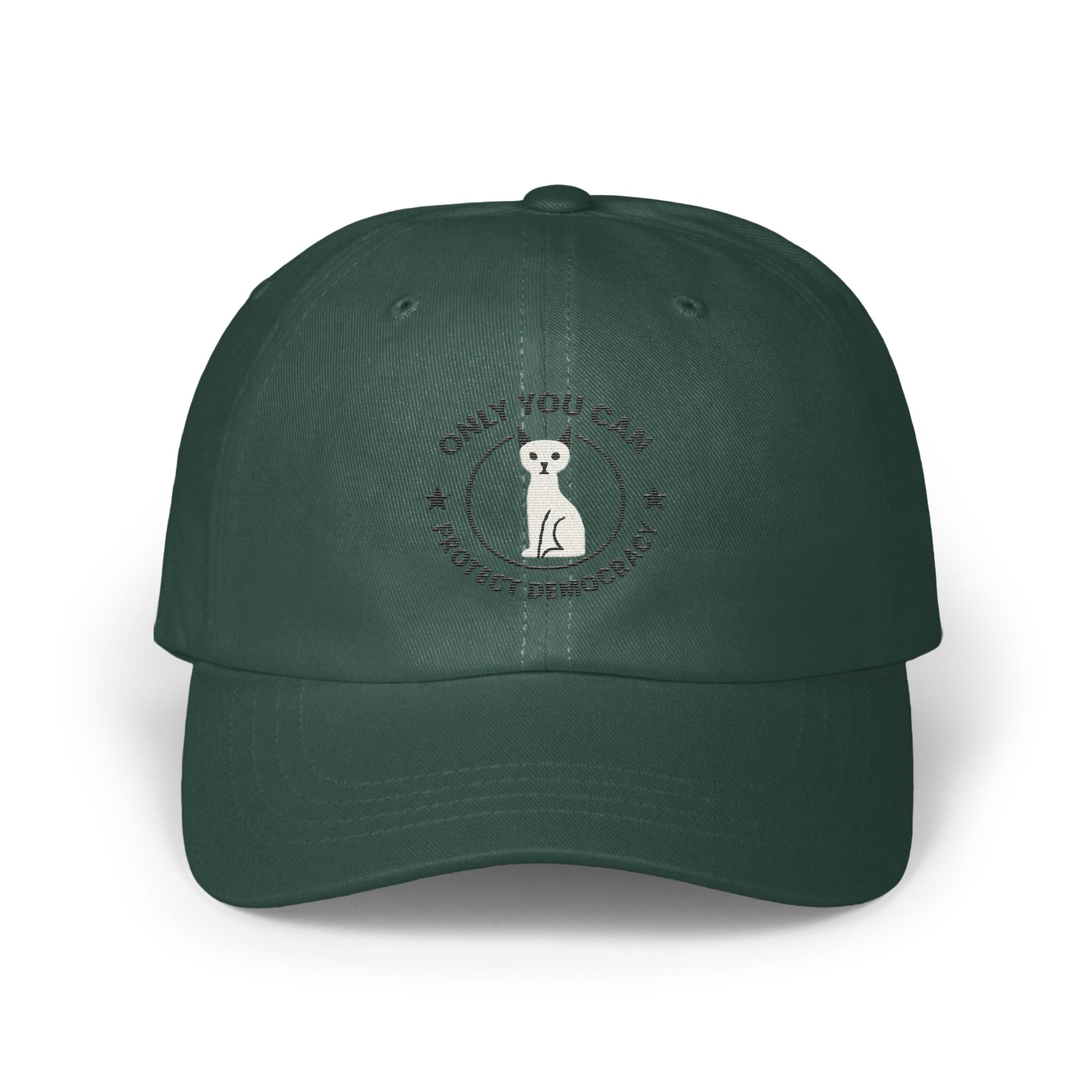 Only You Can Protect Democracy Hat product type