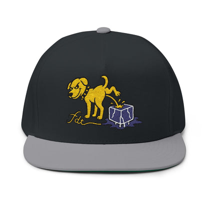 FDT Subtle Embroidery Hat Resist & Protest Funny Hat