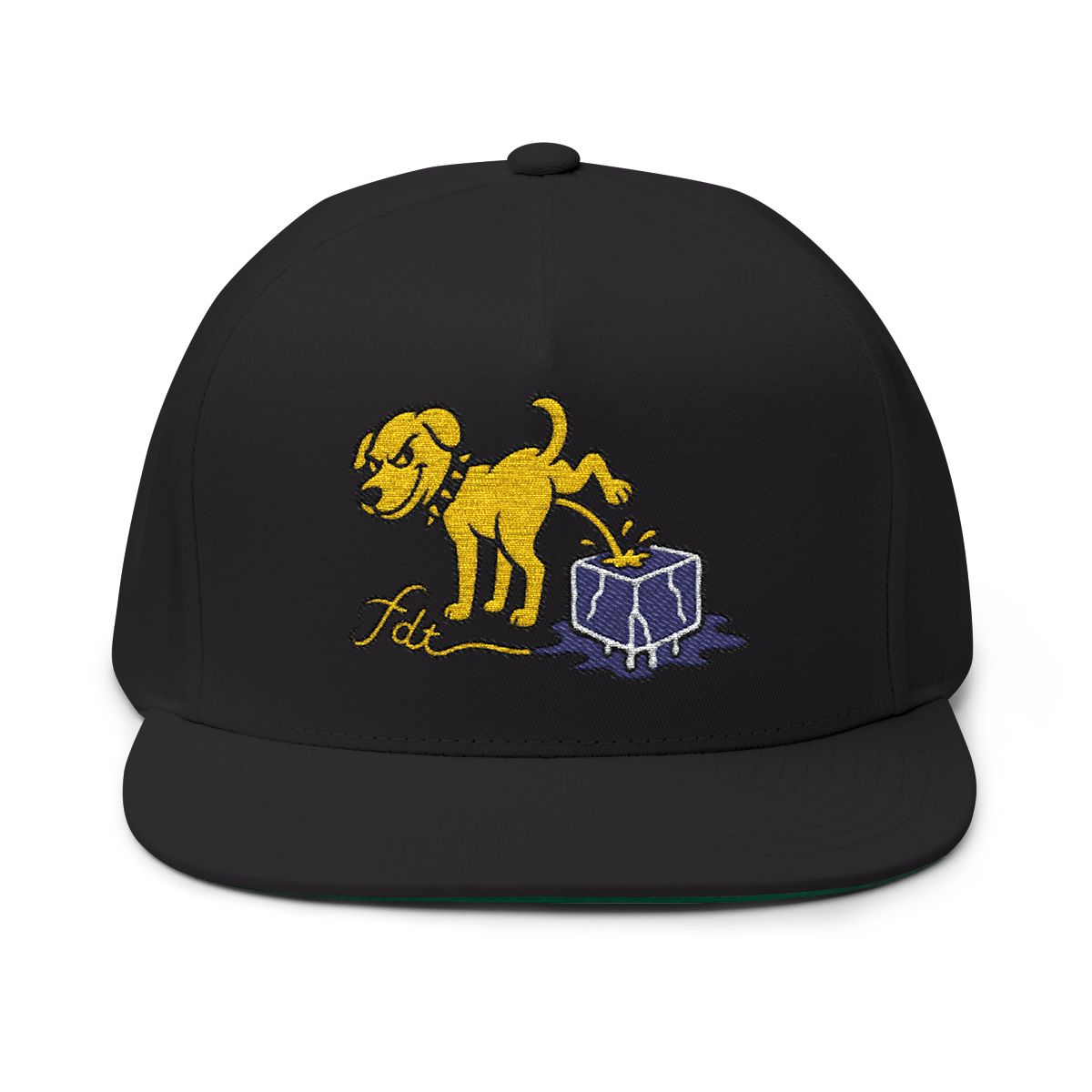 FDT Subtle Embroidery Hat Resist & Protest Funny Hat