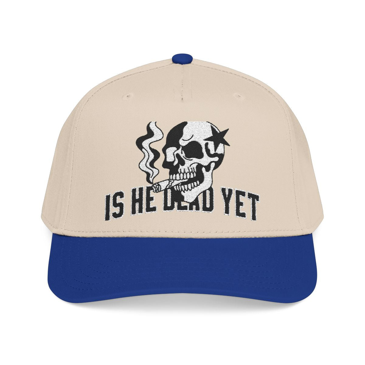 Is He Dead Yet FDT Subtle Embroidery Hat Resist & Protest Funny Hat