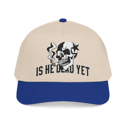 Is He Dead Yet FDT Subtle Embroidery Hat Resist & Protest Funny Hat