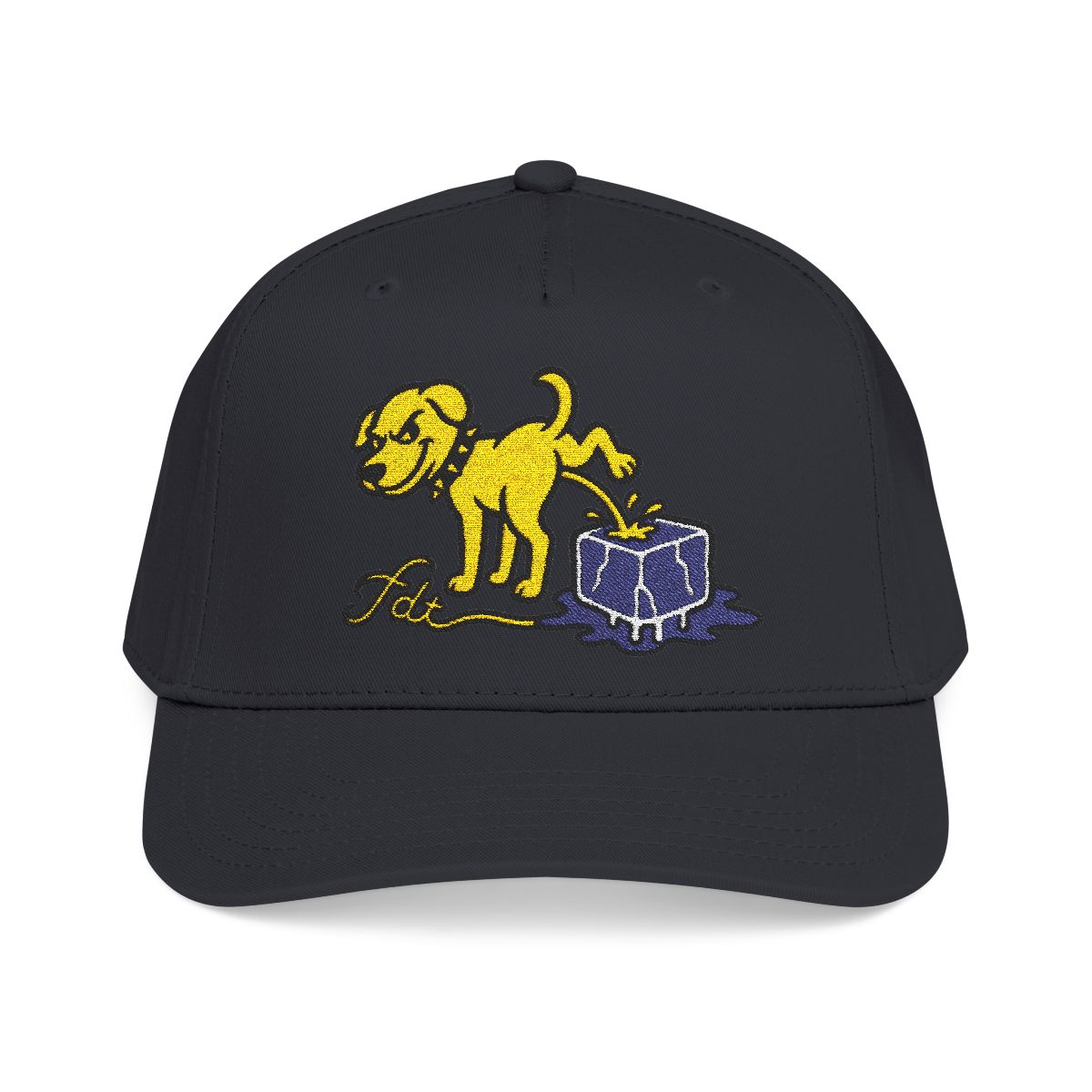 FDT Subtle Embroidery Hat Resist & Protest Funny Hat