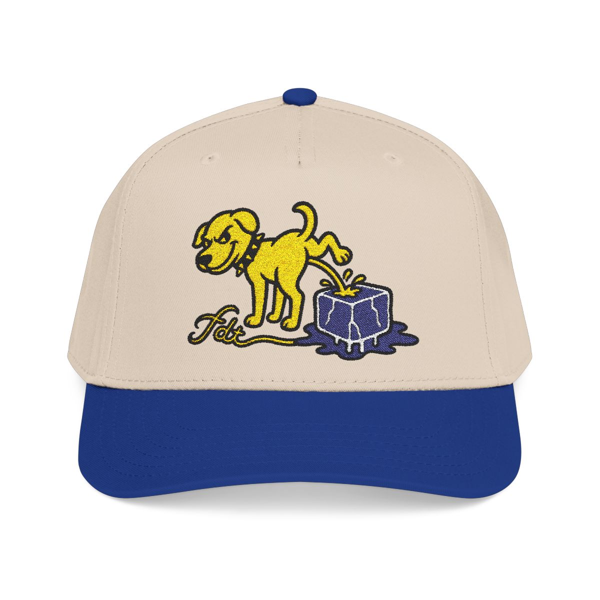 FDT Subtle Embroidery Hat Resist & Protest Funny Hat