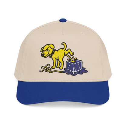 FDT Subtle Embroidery Hat Resist & Protest Funny Hat
