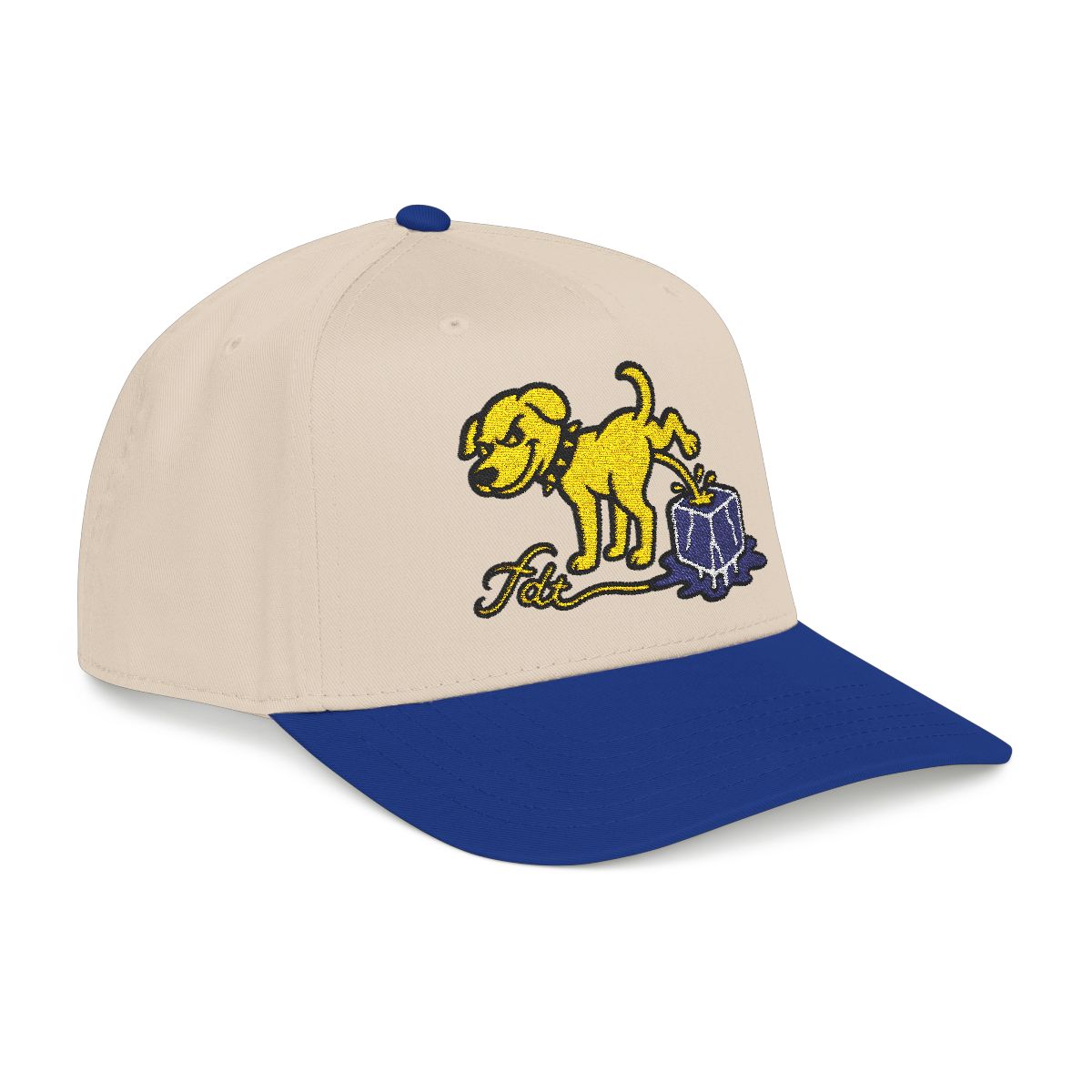 FDT Subtle Embroidery Hat Resist & Protest Funny Hat
