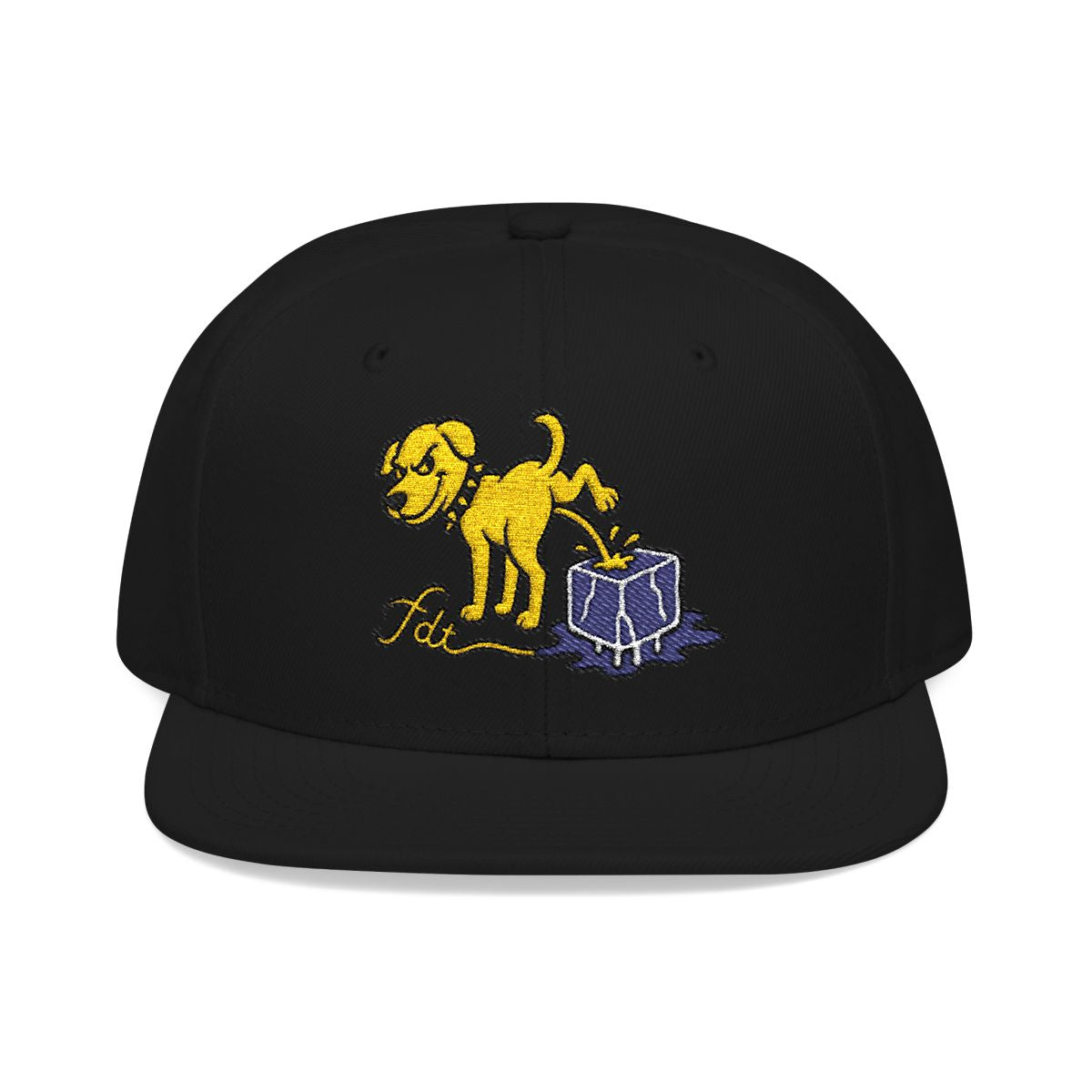 FDT Subtle Embroidery Hat Resist & Protest Funny Hat