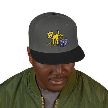 FDT Subtle Embroidery Hat Resist & Protest Funny Hat