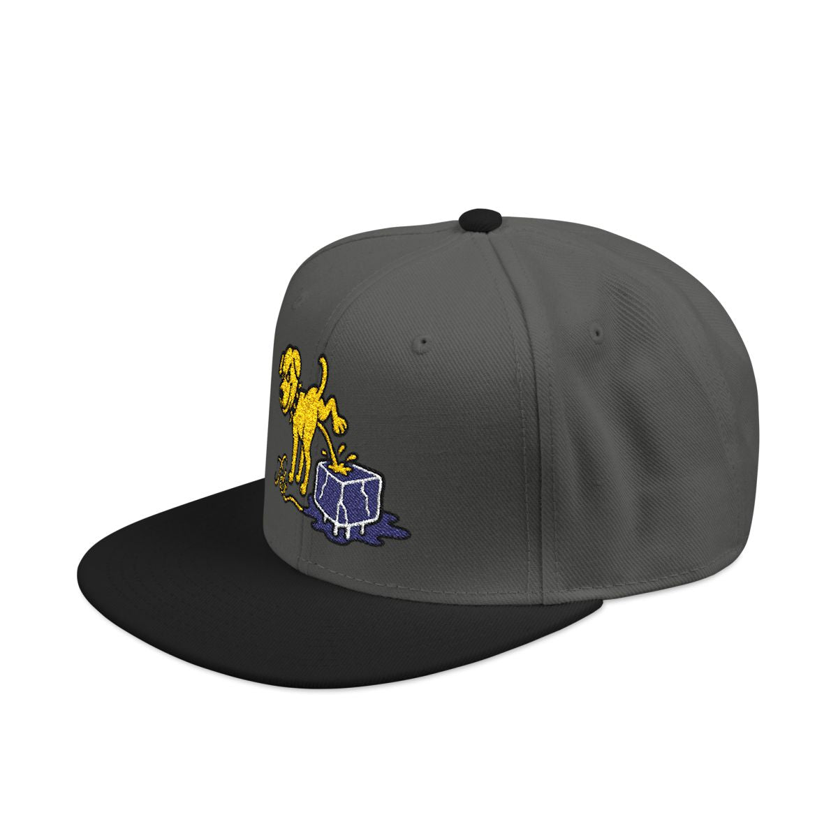 FDT Subtle Embroidery Hat Resist & Protest Funny Hat