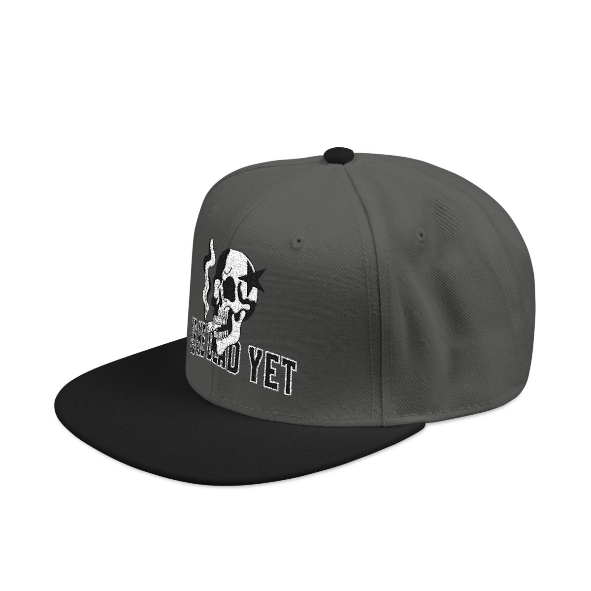 Is He Dead Yet FDT Subtle Embroidery Hat Resist & Protest Funny Hat