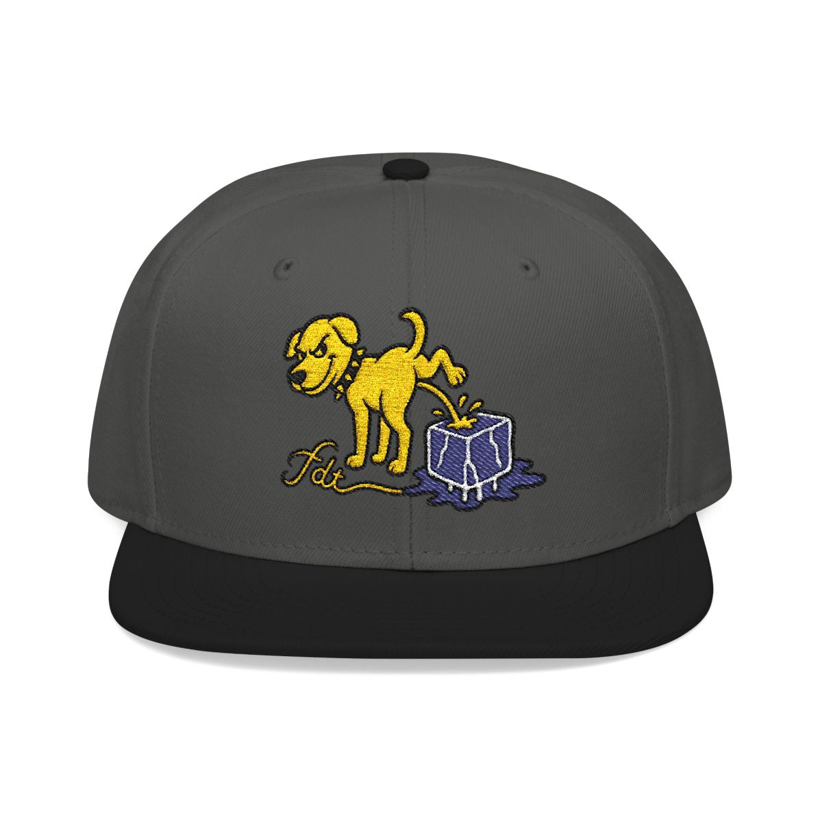 FDT Subtle Embroidery Hat Resist & Protest Funny Hat