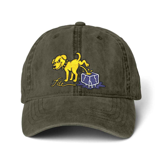 FDT Subtle Embroidery Hat Resist & Protest Funny Hat