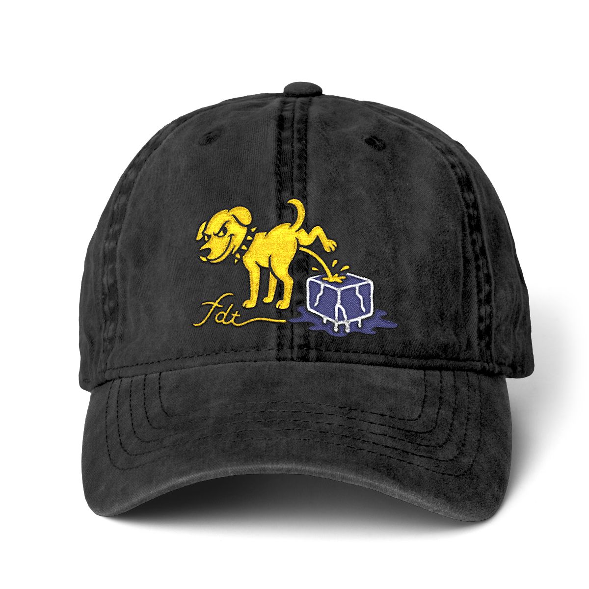 FDT Subtle Embroidery Hat Resist & Protest Funny Hat